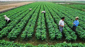 Bổ sung các quan điểm mới về kinh tế tập thể