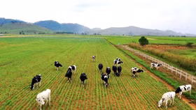 05 bộ phải chịu trách nhiệm trong kế hoạch phát triển bền vững