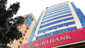 Agribank và VietinBank dồn dập rao bán nợ, phát mãi TSBĐ để xử lý nợ xấu