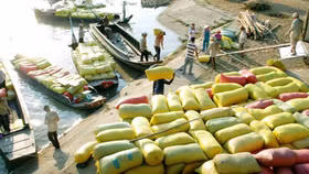 Người Việt đang ăn gạo giá cao hơn cả giá gạo xuất khẩu