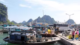 Lần đầu tiên, Luật Đơn vị hành chính - kinh tế đặc biệt trình ra Quốc hội