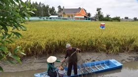 Phát triển ĐBSCL: Biến thách thức thành thời cơ