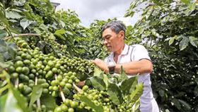 Hỗ trợ nông dân khởi nghiệp cần cơ chế đặc thù