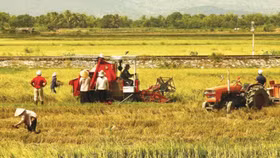 Doanh nghiệp nông nghiệp “khai tử” nhiều hơn là thành lập mới
