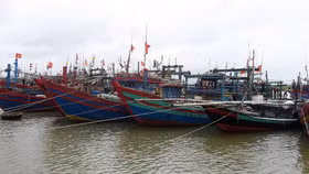 Triển khai các biện pháp khẩn cấp ứng phó bão số 10