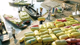 Doanh nghiệp Việt Nam và vòng quay của "Ma trận thuế"