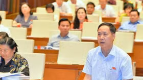 ĐBQH: Đề nghị khởi tố chủ đầu tư vi phạm quản lý chung cư