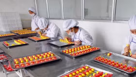 Môi trường kinh doanh Việt Nam 2018: Cuộc đua không điểm dừng