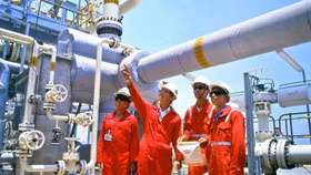 Thêm một dự án "tỷ USD" vào Việt Nam