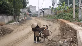 Dự án sinh thái nghỉ dưỡng Hà Phú: Đổi rừng lấy biệt thự?