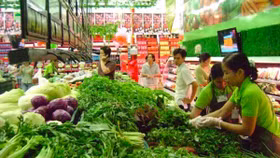 Bộ Công Thương cắt giảm 202 điều kiện kinh doanh điện lực, hóa chất, thực phẩm