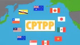 VCCI: Các doanh nghiệp được khảo sát chưa hiểu rõ về CPTPP