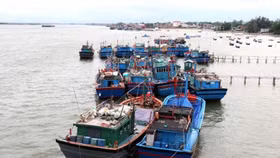 Phú Yên ban hành Chương trình hành động về phát triển kinh tế biển