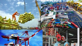 Việt Nam cần sớm chấm dứt khuyến khích qua thuế khi thu hút FDI