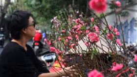 Tết Nguyên đán 2019 có thể được nghỉ bao nhiêu ngày?