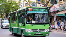 DN vận tải TP. HCM: Khổ sở vì chính sách