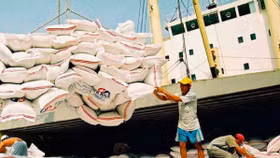 Việt Nam trúng thầu 141.000 tấn gạo XK sang Indonesia