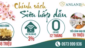 Anland Premium tặng khách hàng heo vàng may mắn cùng chính sách bán hàng hấp dẫn