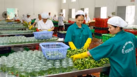 Thúc doanh nghiệp nhỏ "mau lớn"