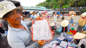 Không được phản hồi, doanh nghiệp thủy sản tiếp tục 'kêu' giảm phí