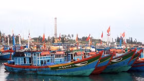 Vì sao EU “giơ thẻ vàng” với thủy sản Việt Nam?