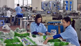 Liệu doanh nghiệp tư nhân có tăng được năng suất như doanh nghiệp FDI không?