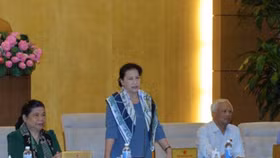 Chủ tịch Quốc hội Nguyễn Thị Kim Ngân: Không cổ phần hoá bằng mọi giá