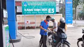 Xăng E5 bán đại trà: Xe 4 bánh có mặn mà ?