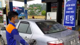 Giải quyết rào cản kinh doanh phổ biến xăng sinh học E5