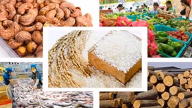 Xuất khẩu nông sản năm 2018 có thể chạm tới 41 tỷ USD