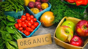 Thêm một loạt ưu đãi cho ngành nông nghiệp hữu cơ