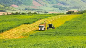 Doanh nghiệp du lịch, nông nghiệp, kinh tế số chưa hết "khổ" vì rào cản chính sách