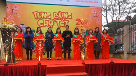 "Chợ tết" Hapro 2018 đến với người dân huyện Ứng Hoà
