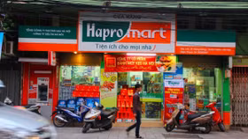 Hapro trở thành mục tiêu thâu tóm của tập đoàn BRG