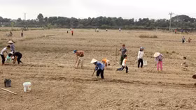 “Kinh tế ngầm” được thống kê: Bức tranh kinh tế chân thực hơn