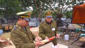 Phát hiện xử lý hơn 12.400 vụ buôn lậu và gian lận thương mại