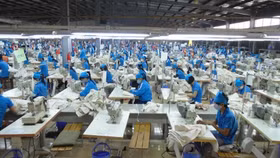 Thúc đẩy xuất khẩu và sự trăn trở về thương hiệu Việt