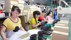 Người nước ngoài làm việc 3 tháng trở lên phải tham gia BHYT bắt buộc