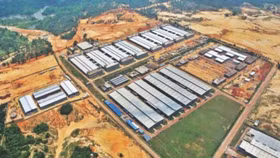 Tìm mô hình đặc khu kinh tế đặc biệt phù hợp