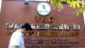 Hơn 8.300 tỉ đồng sai phạm tại Tập đoàn công nghiệp cao su VN ‘trôi’ về đâu?