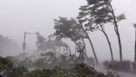 Biển Đông có thể còn đón 2 cơn bão