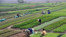 Năm 2025, ngành nông nghiệp phải phấn đấu có 15 mặt hàng tỷ đô