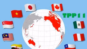 Việt Nam trông đợi gì ở Hiệp định CPTPP sắp được ký?