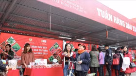 Hàng Việt vẫn chiếm tỷ lệ cao trên thị trường nội địa