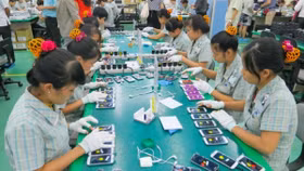 Thương mại hàng hóa Việt Nam đang thăng dự 3,39 tỷ USD