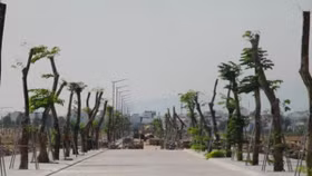 Khánh Hòa 2 lần giao đất sân bay Nha Trang cho Công ty Phúc Sơn