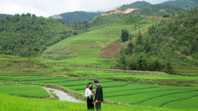 Tập đoàn Mường Thanh và cách quảng bá du lịch bằng âm nhạc