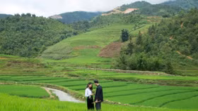 Tập đoàn Mường Thanh và cách quảng bá du lịch bằng âm nhạc