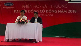 Sáp nhập Sứ Thiên Thanh, TTF chấp nhận EPS bị pha loãng