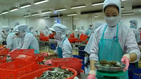 Tiếp cận thị trường “dễ tính”: Cẩn trọng trước những rủi ro